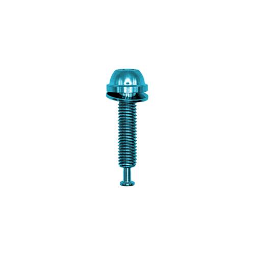 Shimano GRX Flatmount Titan-Bremssattelschrauben