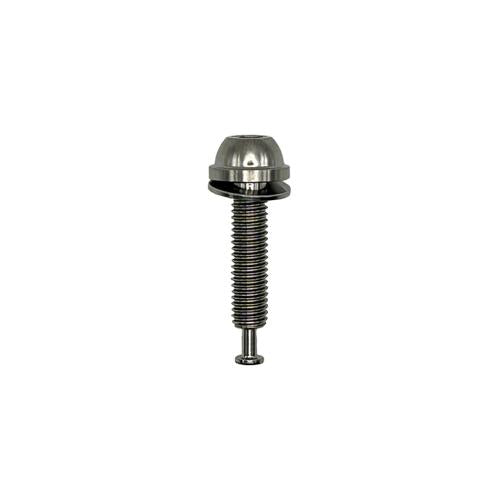 Shimano GRX Flatmount Titan-Bremssattelschrauben