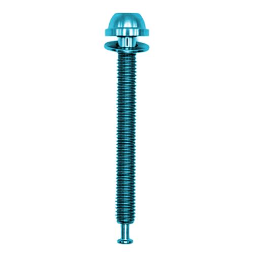 Shimano GRX Flatmount Titan-Bremssattelschrauben