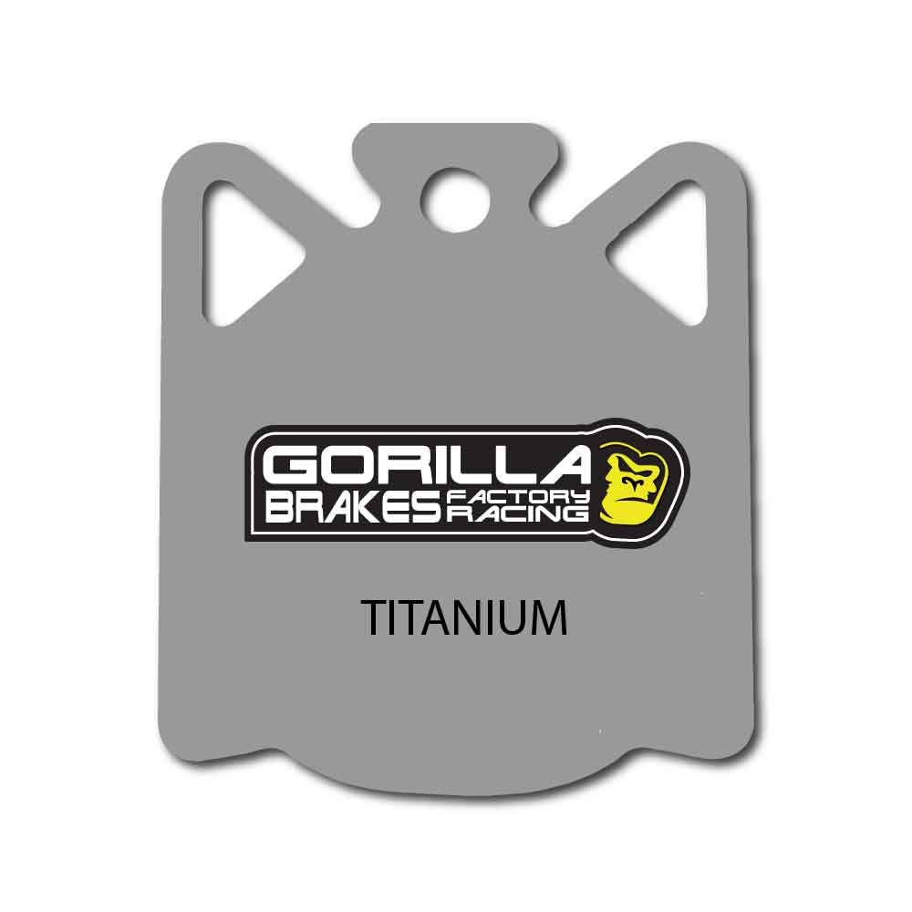 Campagnolo disc rake pads