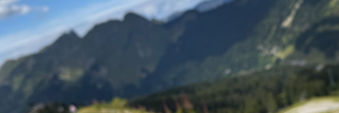 Best brake pads for riding in the Alps morzine gorilla brakes enduro pro disc brake pads testing 