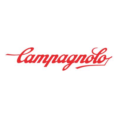 CAMPAGNOLO Disc Brake Pads