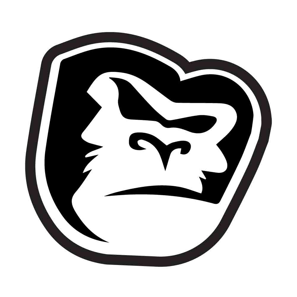 road bike hydraulic brakes